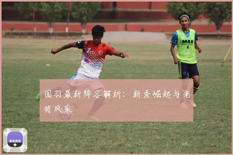 国羽最新阵容解析：新秀崛起与老将风采